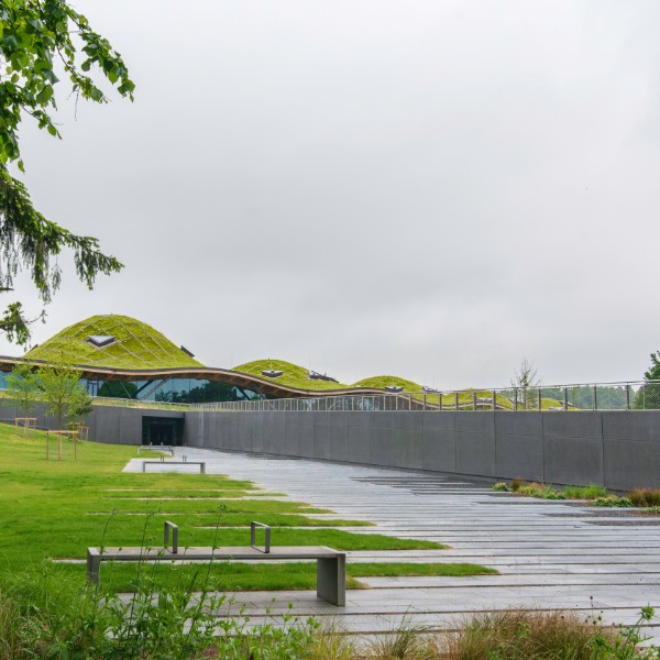Macallan Distillery